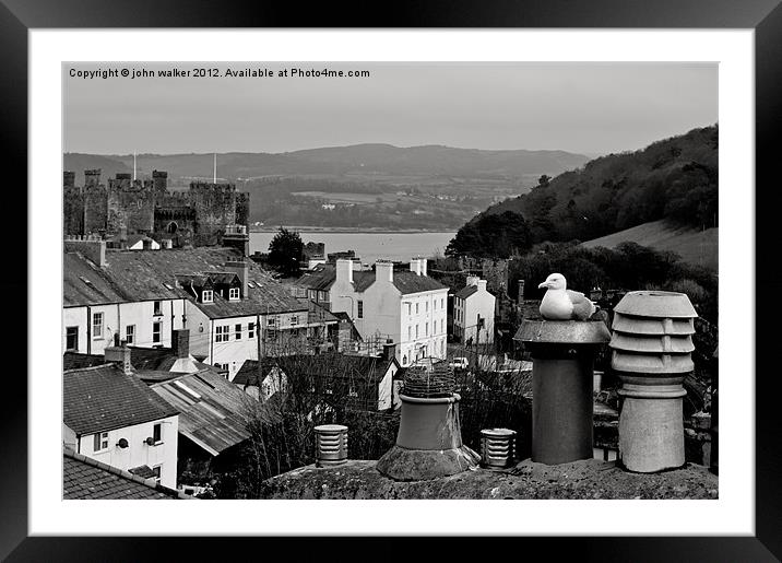 A nice place to rest Framed Mounted Print by john walker