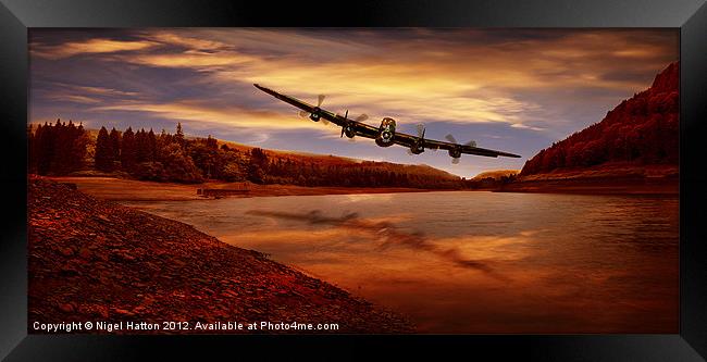 Flying Low Framed Print by Nigel Hatton