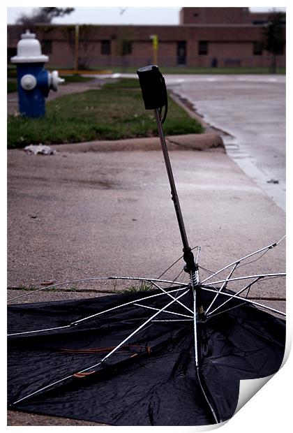 Dead Umbrella II Print by Whitney Orr