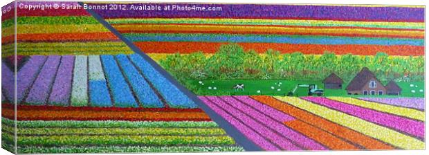 Dutch Tulip Fields Canvas Print by Sarah Bonnot