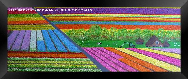 Dutch Tulip Fields Framed Print by Sarah Bonnot