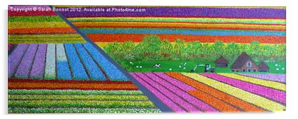 Dutch Tulip Fields Acrylic by Sarah Bonnot