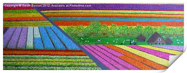 Dutch Tulip Fields Print by Sarah Bonnot