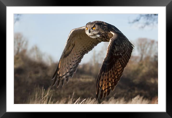 Eagle Owl Framed Mounted Print by Val Saxby LRPS