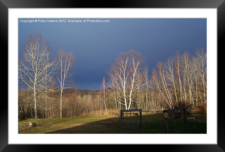 fall skies Framed Mounted Print by Peter Castine