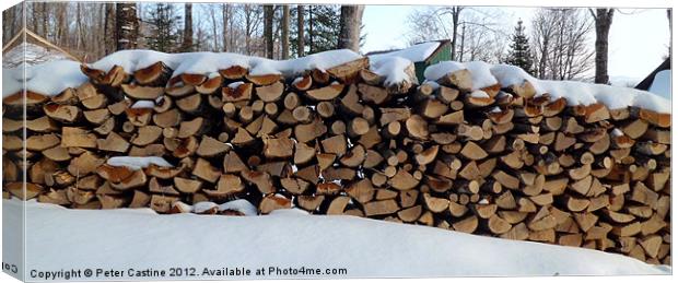 Stack of Firewood Canvas Print by Peter Castine