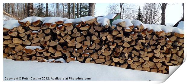 Stack of Firewood Print by Peter Castine