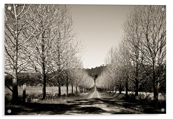 Avenue of Bones Acrylic by Dennis Gay