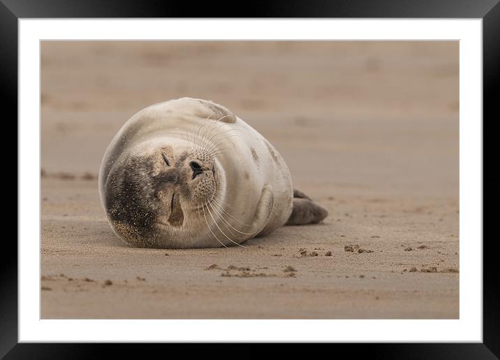 Forty Winks Framed Mounted Print by Natures' Canvas: Wall Art  & Prints by Andy Astbury
