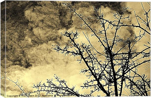 Cold Day Branches Canvas Print by Stan Owen
