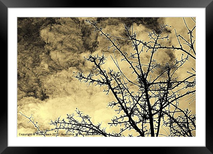 Cold Day Branches Framed Mounted Print by Stan Owen