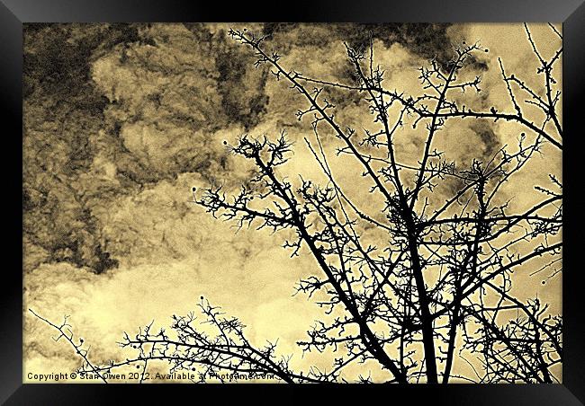 Cold Day Branches Framed Print by Stan Owen