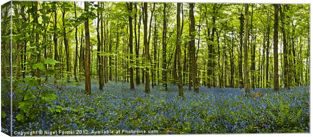 Lanbedr Bluebell wood Canvas Print by Creative Photography Wales