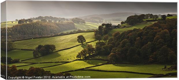 Autumn light Canvas Print by Creative Photography Wales