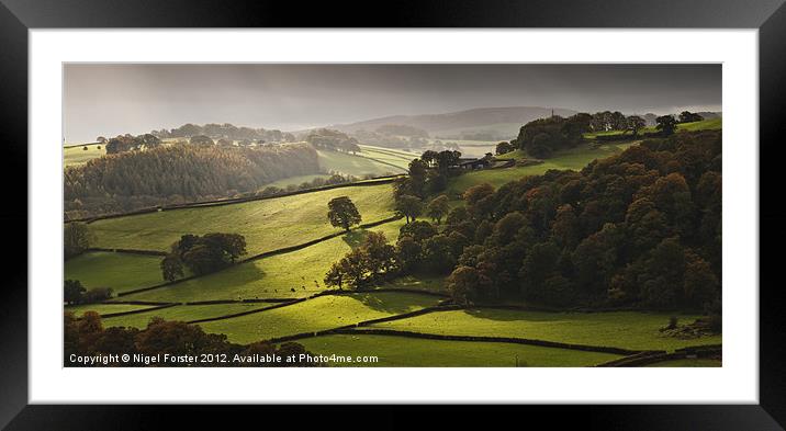 Autumn light Framed Mounted Print by Creative Photography Wales