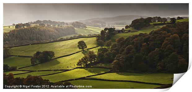 Autumn light Print by Creative Photography Wales