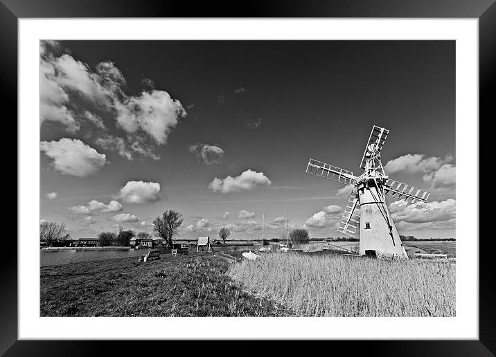 Spring at Thurne Mono Framed Mounted Print by Paul Macro