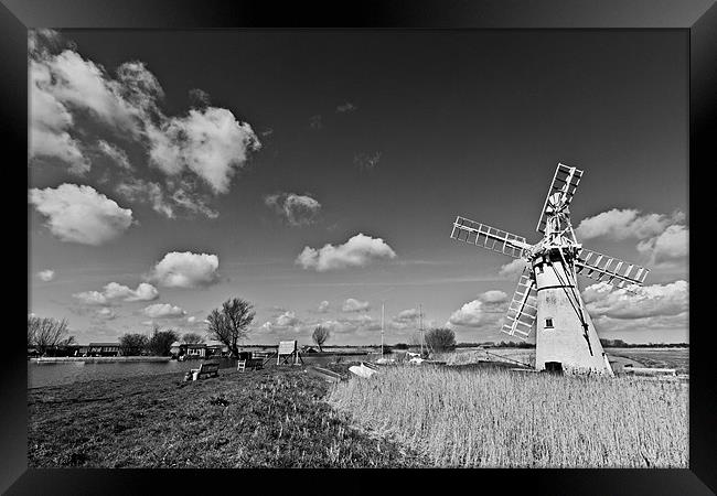 Spring at Thurne Mono Framed Print by Paul Macro