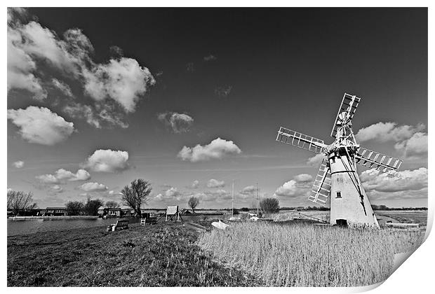 Spring at Thurne Mono Print by Paul Macro