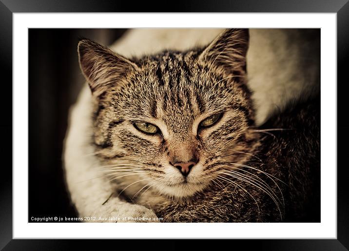 the art of relaxing Framed Mounted Print by Jo Beerens