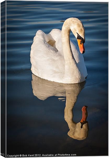 Reflective Thoughts Canvas Print by Bob Kent