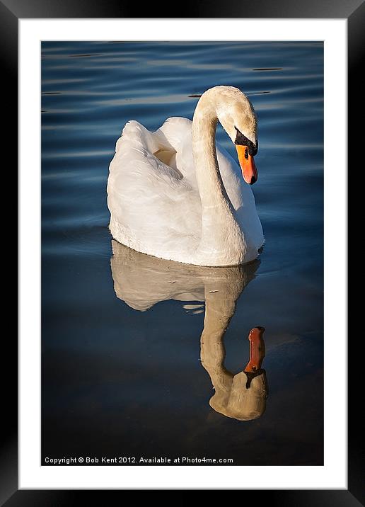 Reflective Thoughts Framed Mounted Print by Bob Kent