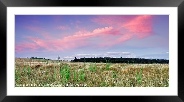The Grassy Knoll Framed Mounted Print by Mark Lucey