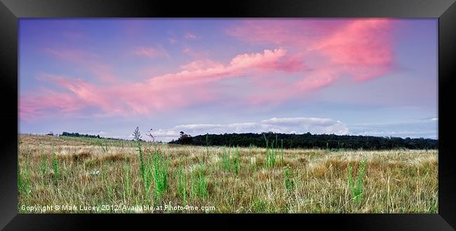 The Grassy Knoll Framed Print by Mark Lucey