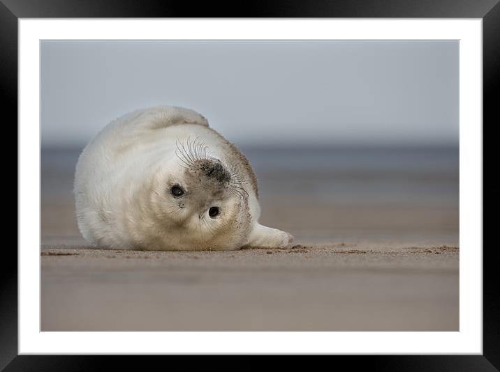 Life's A Beach Framed Mounted Print by Natures' Canvas: Wall Art  & Prints by Andy Astbury