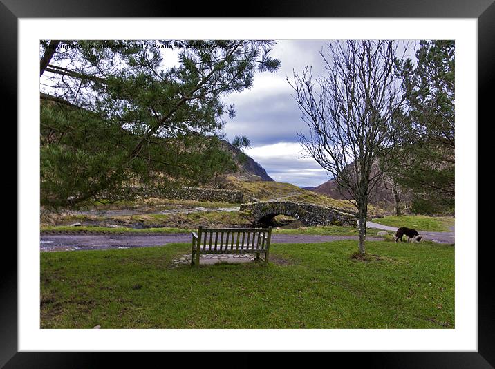 A Seat with a View Framed Mounted Print by Trevor Kersley RIP