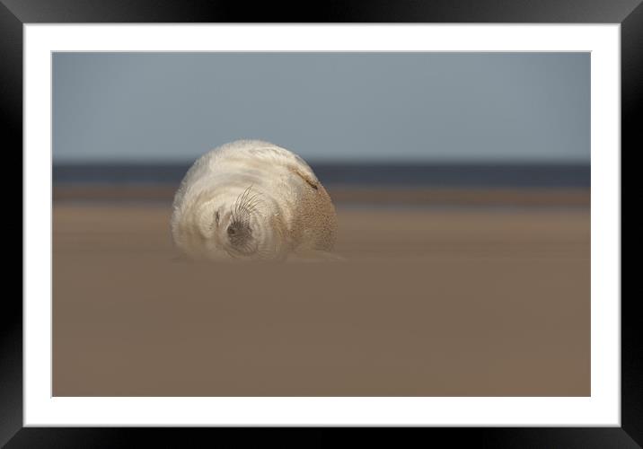 Sun,Sea and Sand Framed Mounted Print by Natures' Canvas: Wall Art  & Prints by Andy Astbury