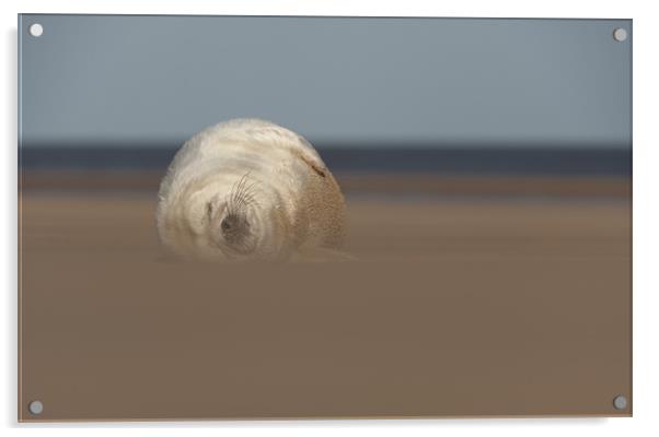 Sun,Sea and Sand Acrylic by Natures' Canvas: Wall Art  & Prints by Andy Astbury
