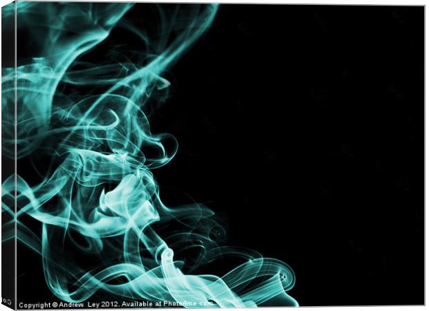 Smoking!!! Canvas Print by Andrew Ley