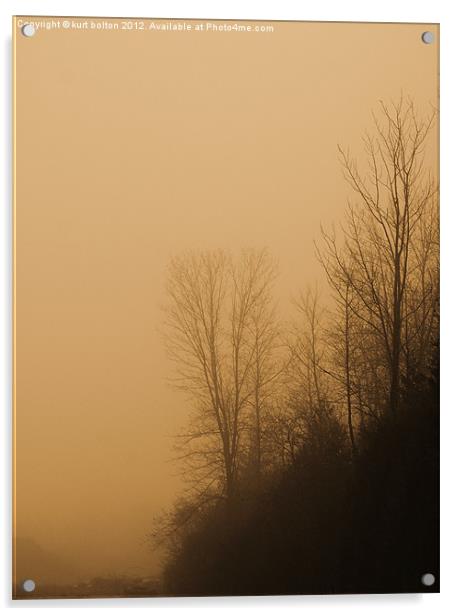 Forest Fog Acrylic by kurt bolton