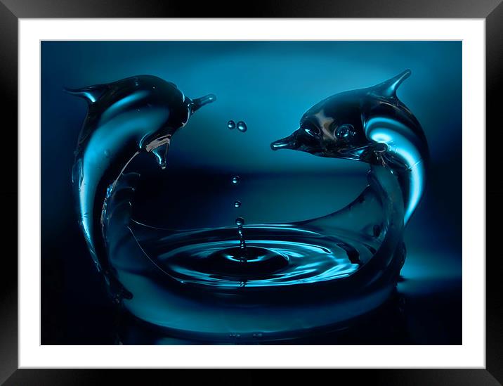 Dolphin splash Framed Mounted Print by Sam Smith