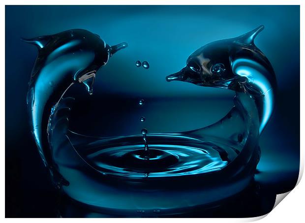 Dolphin splash Print by Sam Smith