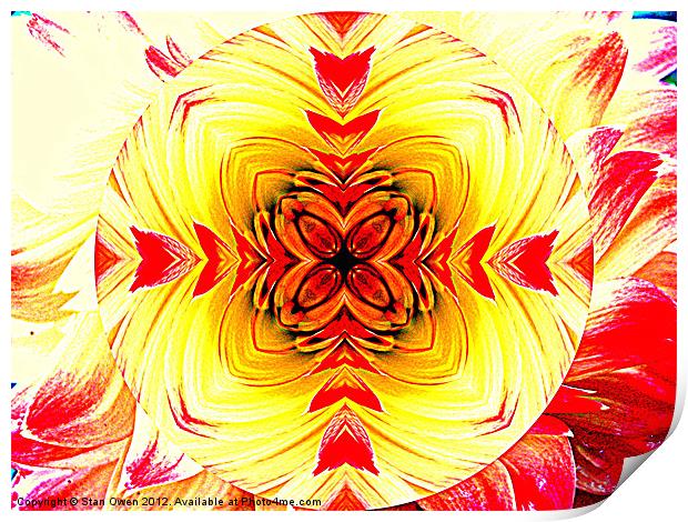 Crossed Petals Print by Stan Owen