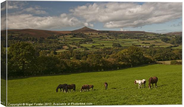 Sugar Loaf landscape Canvas Print by Creative Photography Wales