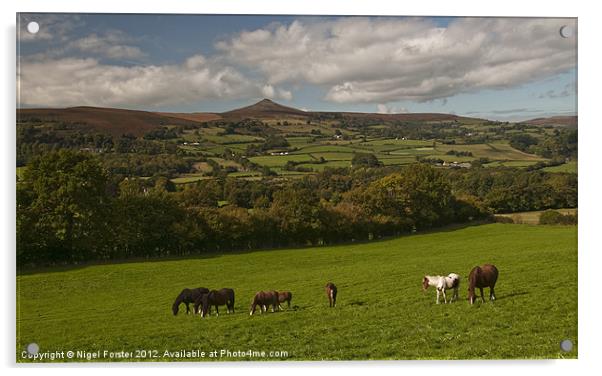 Sugar Loaf landscape Acrylic by Creative Photography Wales