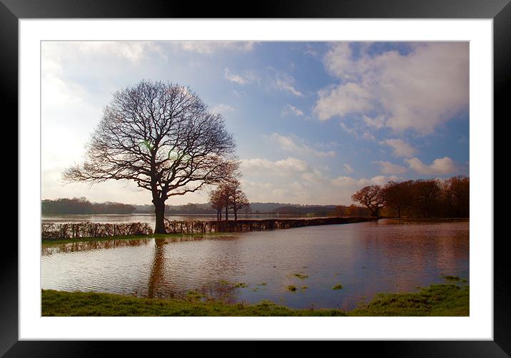 Winter Floods In Cobham Framed Mounted Print by Clive Eariss