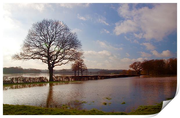 Winter Floods In Cobham Print by Clive Eariss