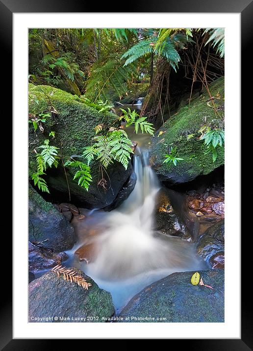 Dante's Creek Framed Mounted Print by Mark Lucey