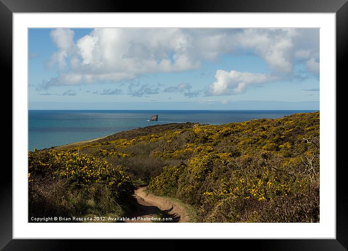 Cornish Seascape St Agnes  Framed Mounted Print by Brian Roscorla