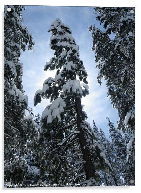 Snow Trees, sun burst Acrylic by Patti Barrett