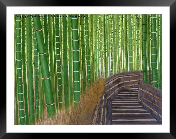 Arashiyama bamboo groves Framed Mounted Print by Sarah Bonnot