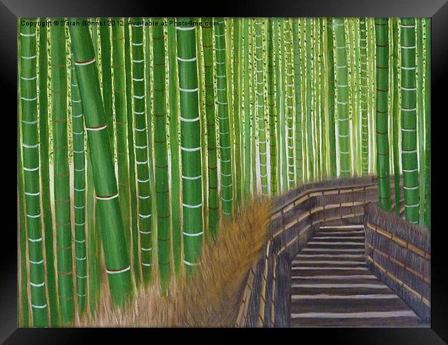 Arashiyama bamboo groves Framed Print by Sarah Bonnot