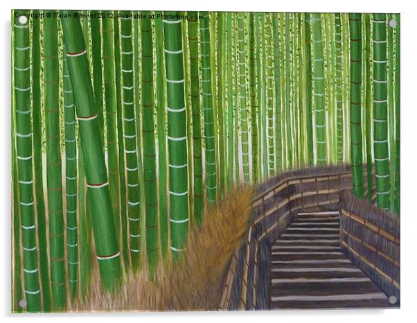 Arashiyama bamboo groves Acrylic by Sarah Bonnot
