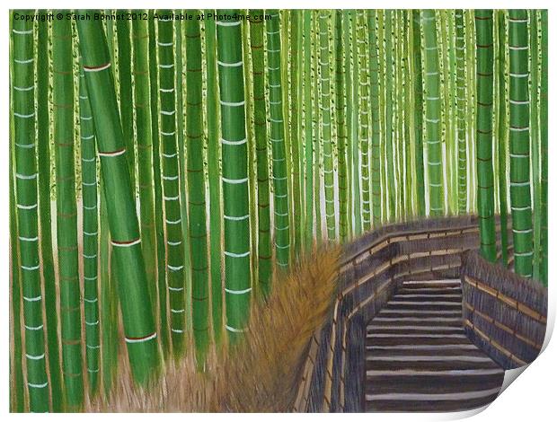 Arashiyama bamboo groves Print by Sarah Bonnot