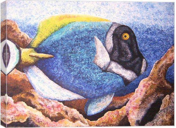 'Blue Surgeon in Reef' 2002 Canvas Print by Phiip Nolan