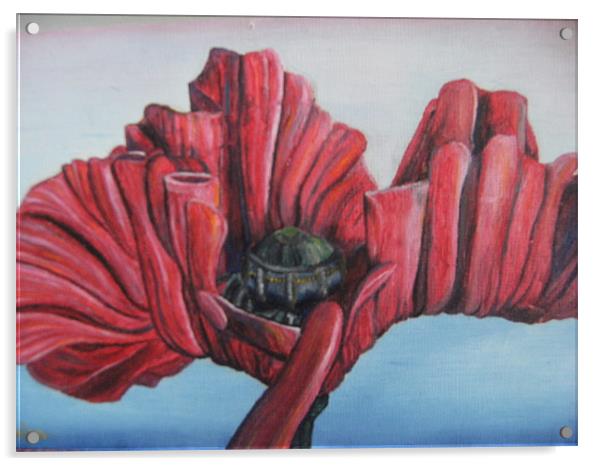 'Poppy Life Study' 2002 Acrylic by Phiip Nolan